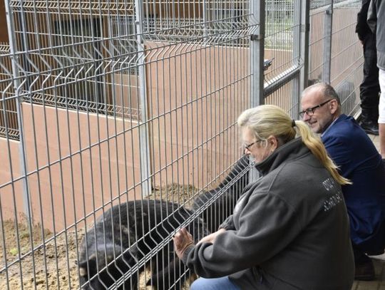 Psy z Radys już bezpieczne #wGdyni