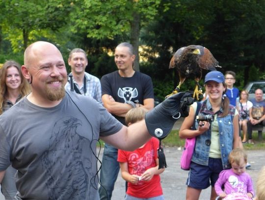 Ptaki w roli głównej