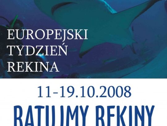 Ratujmy rekiny - wraz z Akwarium Gdyńskim