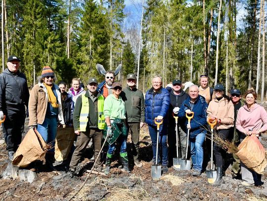 Razem dla natury. Wspólne sadzenie lasu, które łączy pokolenia