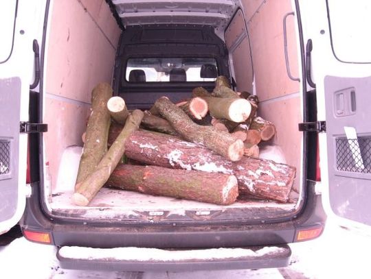 Razem pili, razem kradli - posiedzą osobno