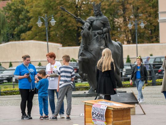 Reks dziękuje wszystkim za solidarność ze zwierzętami MALBORK.