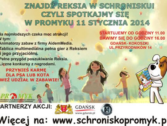 Reksio czeka w schronisku