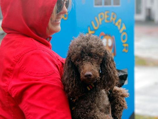 Rekuperator przy molo w Brzeźnie