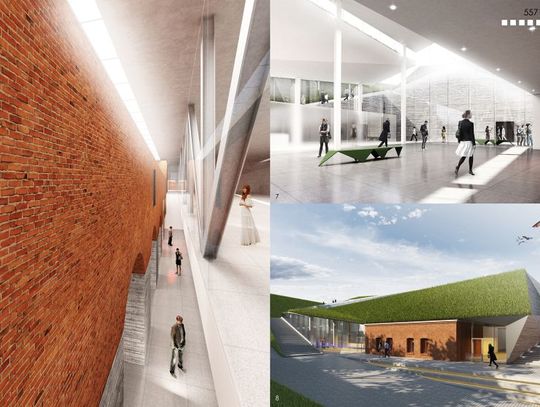 Rewolucyjna przemiana Redity Napoleońskiej