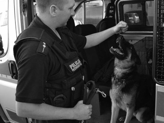 Roki przeszedł na wieczna służbę. Policjanci żegnają czworonożnego funkcjonariusza