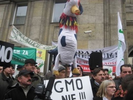 Rolnicy protestowali przeciw GMO, ale nagłośniono "świńską górkę"