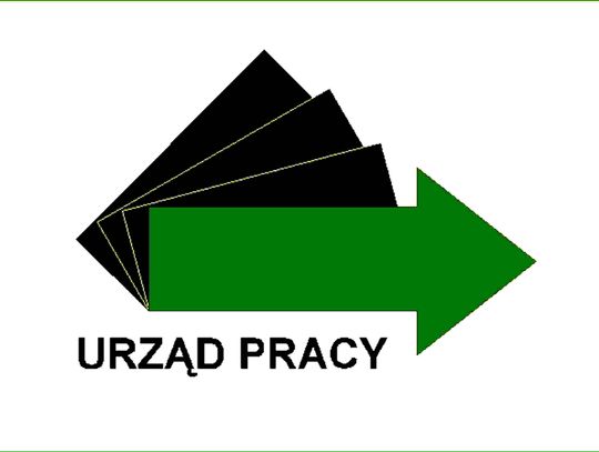 Rośnie liczba ofert pracy