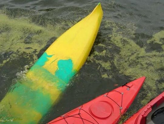 Rozbitkowie na Polskim Haku