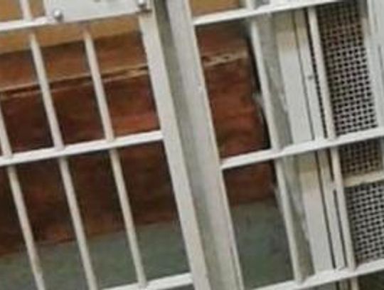 Rozbojarze ujęci - pod dozorem