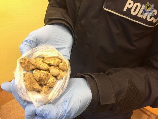 Rozkopywali klif w poszukiwaniu bursztynu