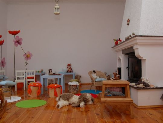 Rozwijają talenty z „Żukiem”. Baśniowo i bezpiecznie