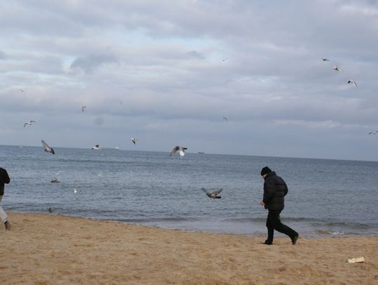 Rusz się! Cztery wiosenne aktywności dla poprawy efektywności