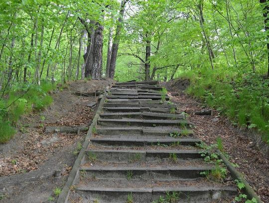 Ruszają prace na Pachołku