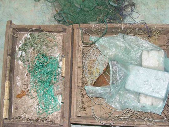 Rybki łowione na lewo