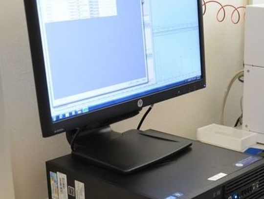 Rysopis sprawcy podali goście hotelowi