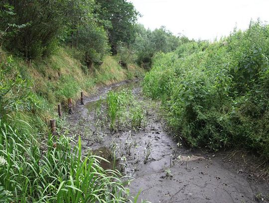 Rzeka Liwa znowu nie płynie