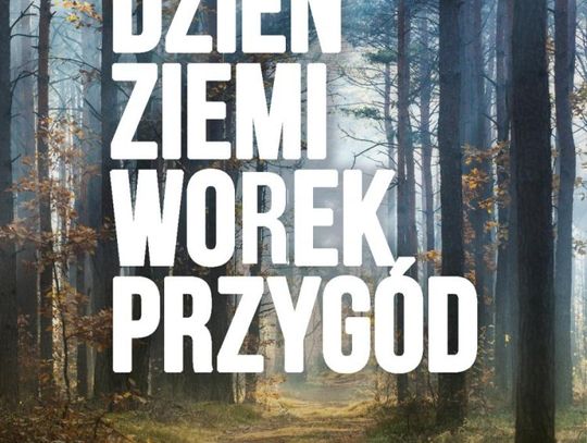 Rzuć wszystko i chodź sprzątać las! 