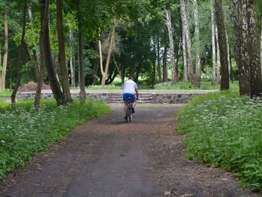 Są pieniądze na malborski park