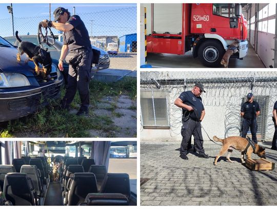 Seminarium dla przewodników psów zorganizowane przez starogardzki Areszt Śledczy