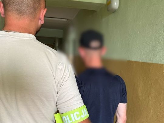 Seria kradzieży zakończona zatrzymaniem sprawcy