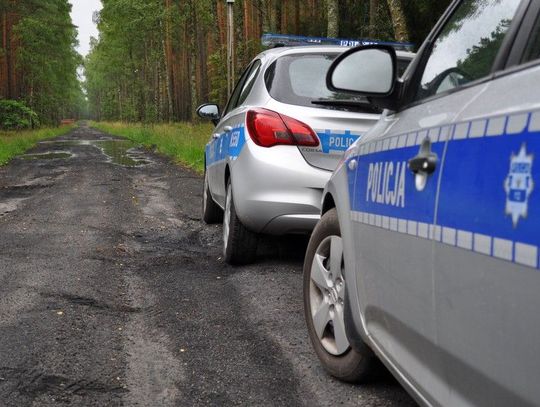 Sezon na grzyby rozpoczęty! Policjanci przypominają o zasadach bezpieczeństwa w lasach