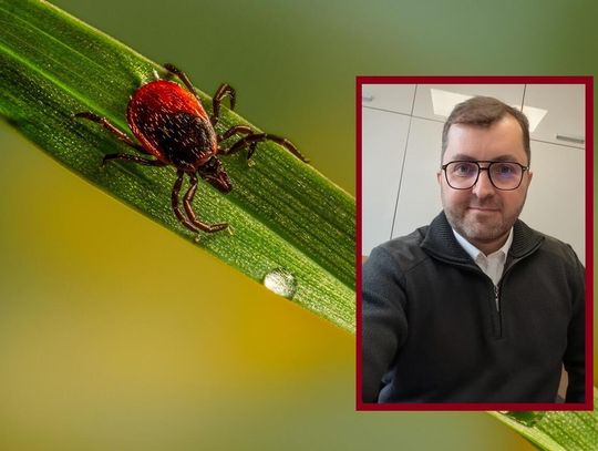 Sezon na kleszcze bez paniki