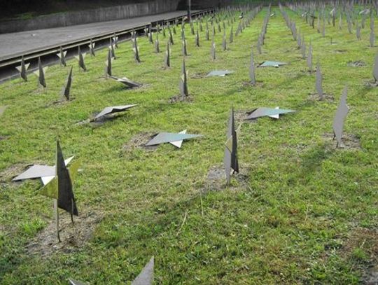 Siedzieli między "gwiazdami" 