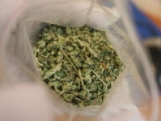  Siedzieli na parkingu z metalowym pudełkiem