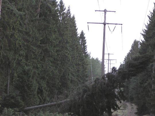 Silne wiatry na Pomorzu - zerwane linie enegretyczne