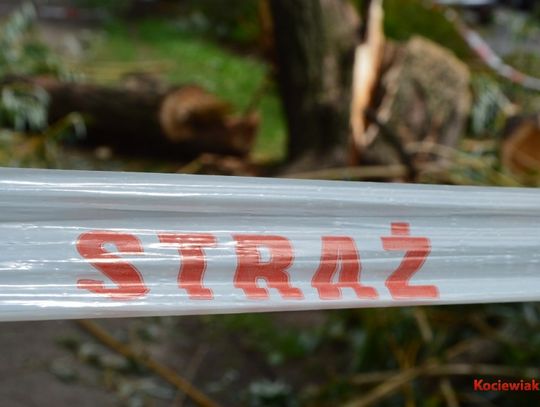 Silny wiatr nadciąga nad region. IMGW wydał ostrzeżenie