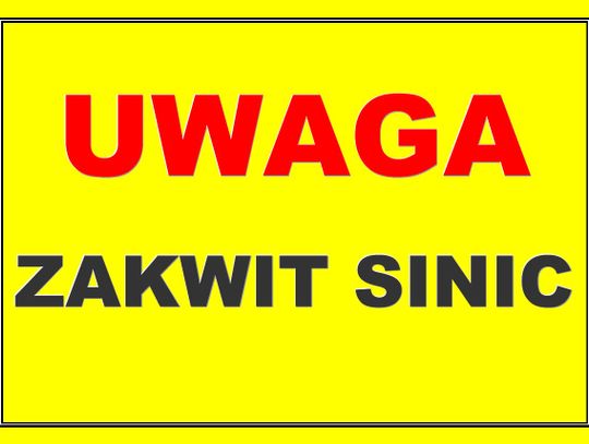 Sinice atakują - dwa jeziora objęte zakazem kąpieli 