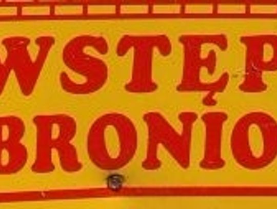 SKANDAL - obce służby na polskich ulicach