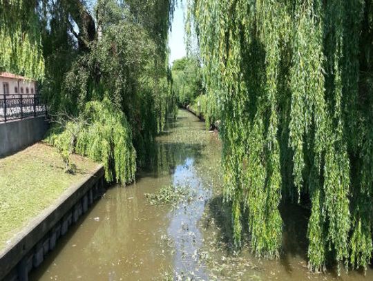 Skanska przebuduje miejski odcinek Kanału Raduni