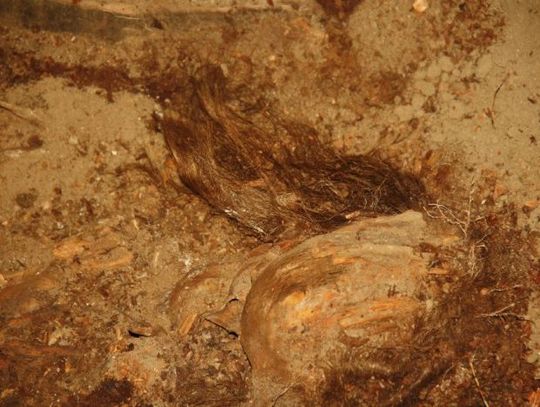 Skarby z trumny. Tydzień prac, a odkryć na całe życie 