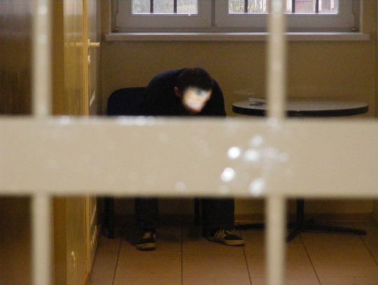 Skoczył w ręce policjantów