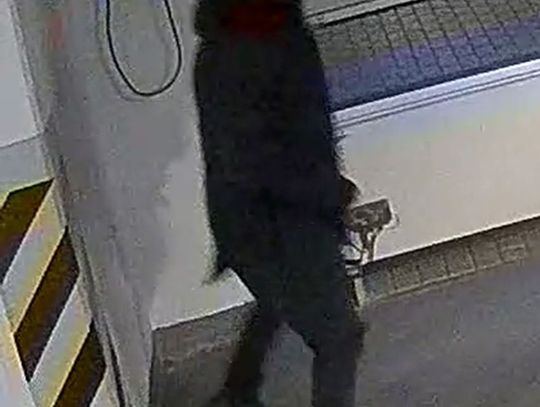 Skradziono motocykl Harley Davidson. Osoba z monitoringu może mieć związek ze sprawą.