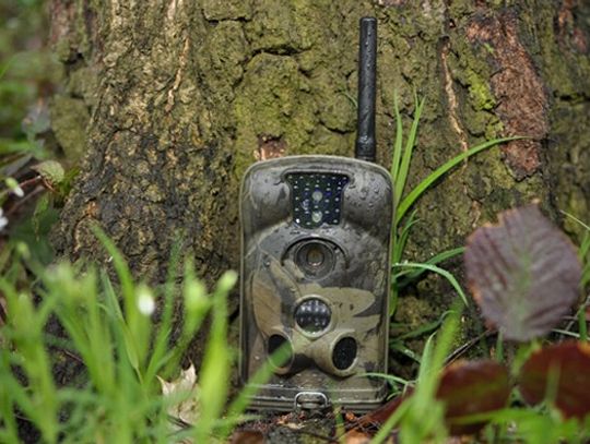 Skuteczny monitoring terenów leśnych