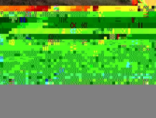 Śledztwo w sprawie śmierci noworodka. Świadkowie poszukiwani