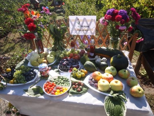 Słońce dopisywało działkowiczom