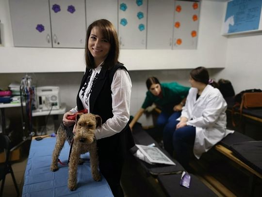 Słupscy uczniowie zbadali uszy czworonogów