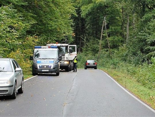 Śmiertelne potrącenie pieszego pomiędzy Ugoszczą a Studzienicami.