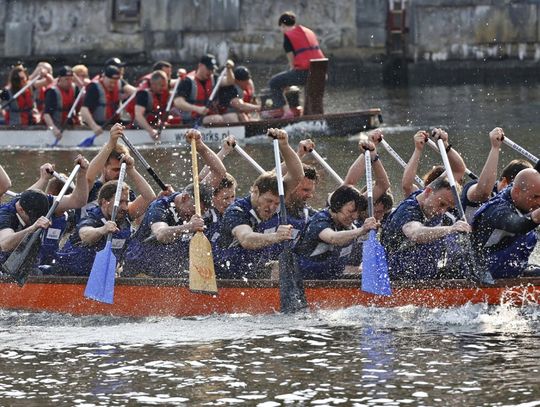 Smocze Łodzie 2017: regaty trójmiejskich instytucji kultury po raz dziewiąty