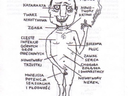 Smutne statystyki - w 2011 r. 830 nałogowych palaczy z Gdańska umrze. Jak uwolnić miasto od dymu tytoniowego?