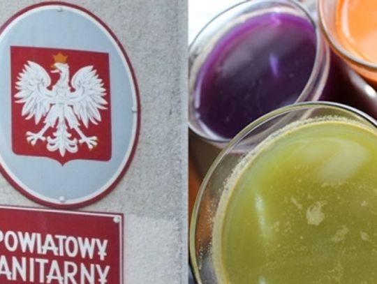 Soki jednodniowe - prokuratura prześwietli firmę