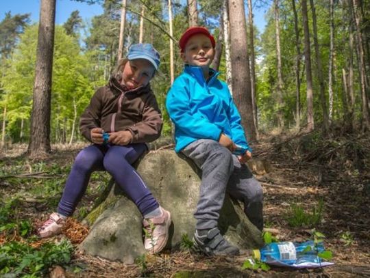 Spacer z mapą po jednej z czterech tras. Kolejna edycja Samodzielnego Harpusia w Gdańsku 