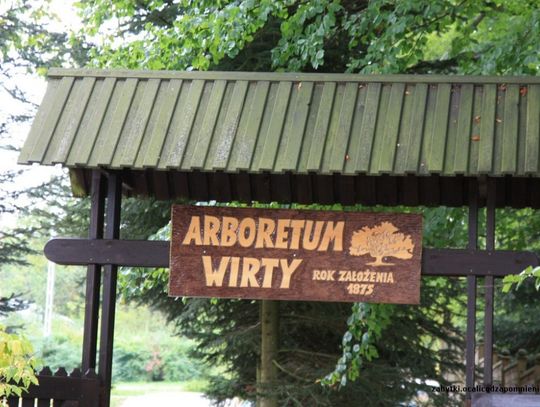 Spalarnia opon w sercu Borów Tucholskich!?! Tam gdzie "okazy drzew z całego świata i jeziora o krystalicznej wodzie"