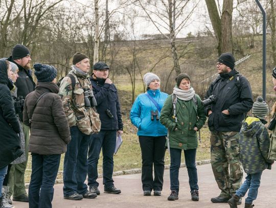 Spis skrzydlatych sąsiadów