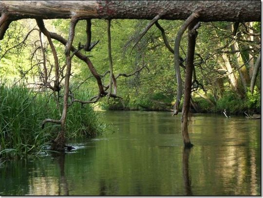 Spływy spokojna Wdą i dziką Wierzycą