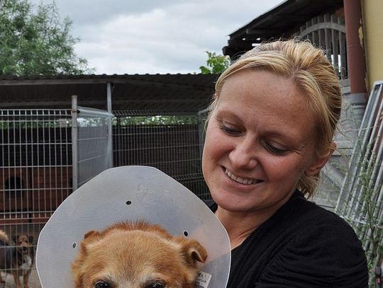 Spójrz psu w oczy, zanim go porzucisz